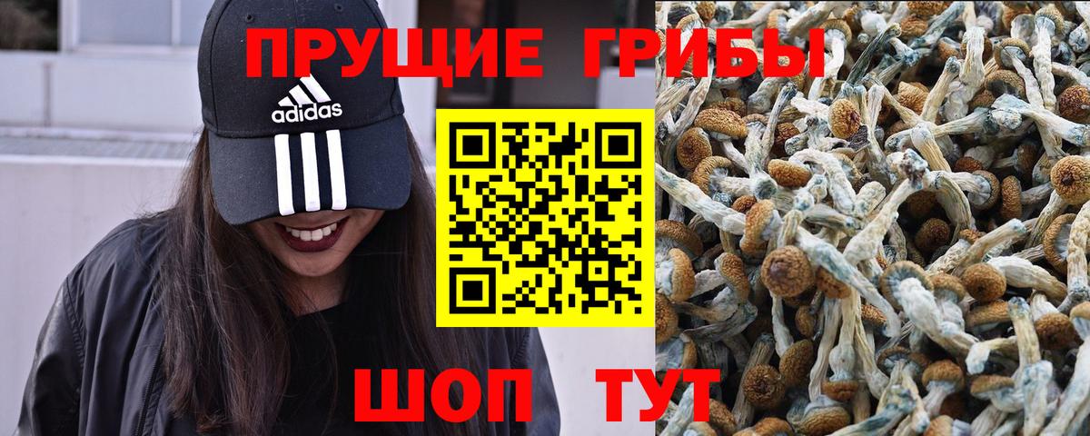 Галлюциногенные грибы Psilocybine cubensis  Псилоцибиновые грибы MAGIC MUSHROOMS  Вход с VPN  Ахтубинск 