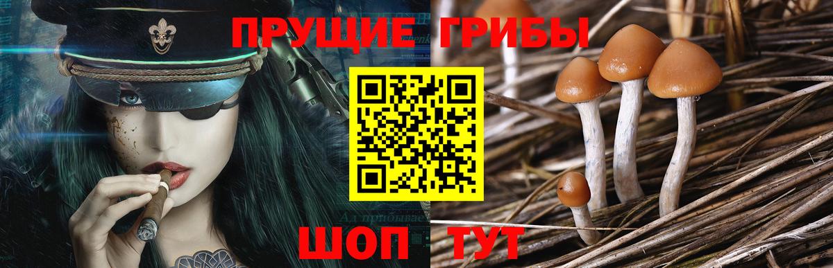 Галлюциногенные грибы мухоморы Ахтубинск